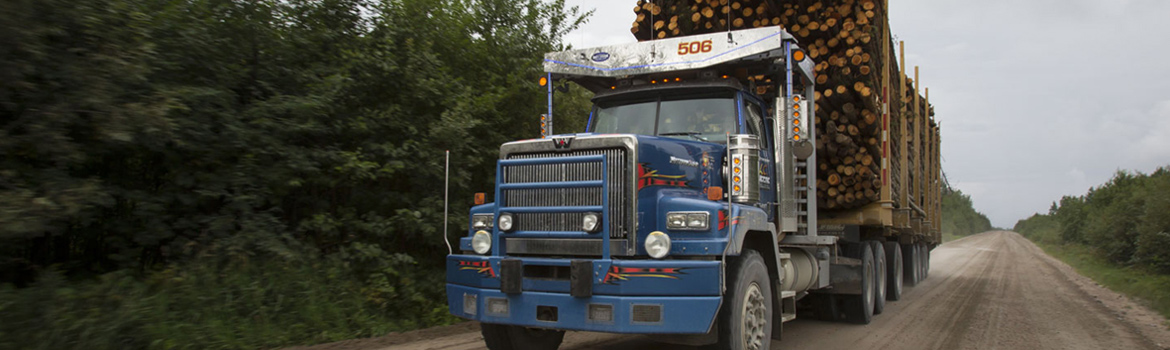 2018 Western Star for sale in Bonander Truck & Trailer, Turlock, California
